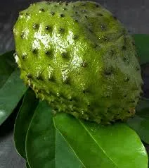 1.25L PP Bottle Soursop Juice with Tea-Vietnam Manufacturer-OEM Fruit Juice