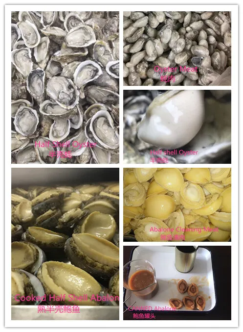 100% Oyster Meat Extract Powder for Sexual Enhancing