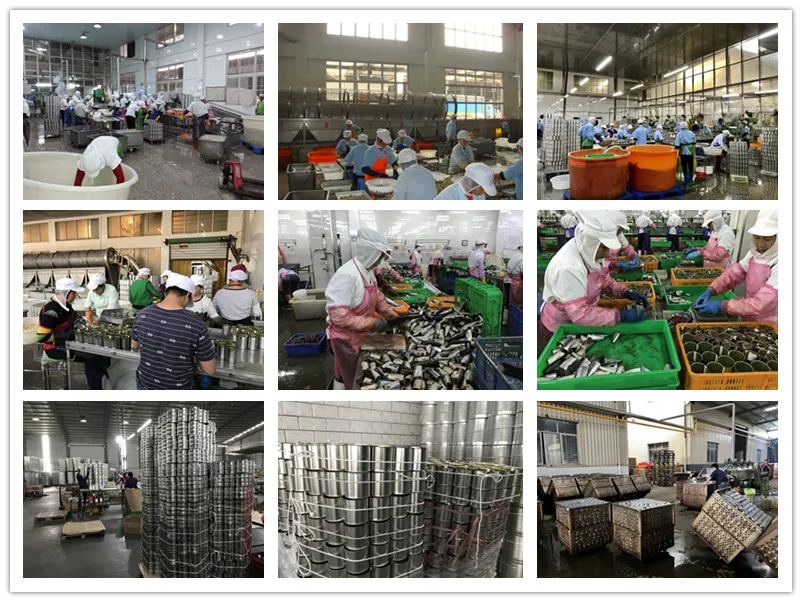 184G/240g/425g Natural Vegetable Canned Mixed Vegetables in Easy Open Lid