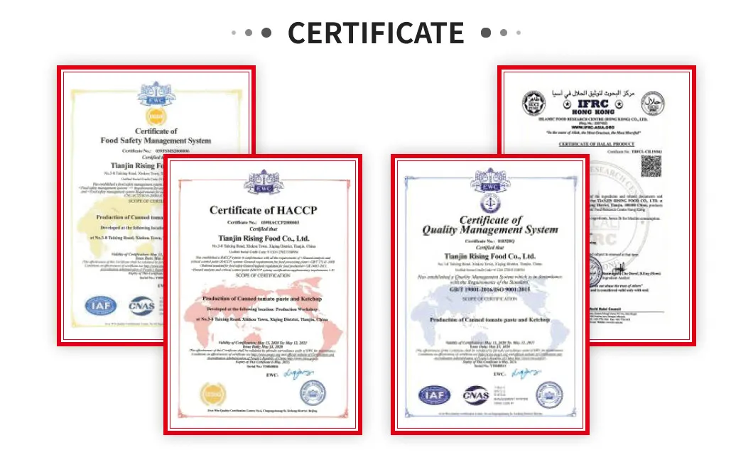 2.2kg Canned Tinned Tomato Paste Sauce Brix 28 with Low Price HACCP Certification