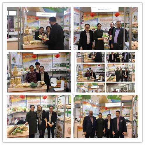 2021 Chinese Sweet Corn on COB in Vacuum Pack