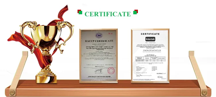 2021 Chinese Sweet Corn on COB in Vacuum Pack