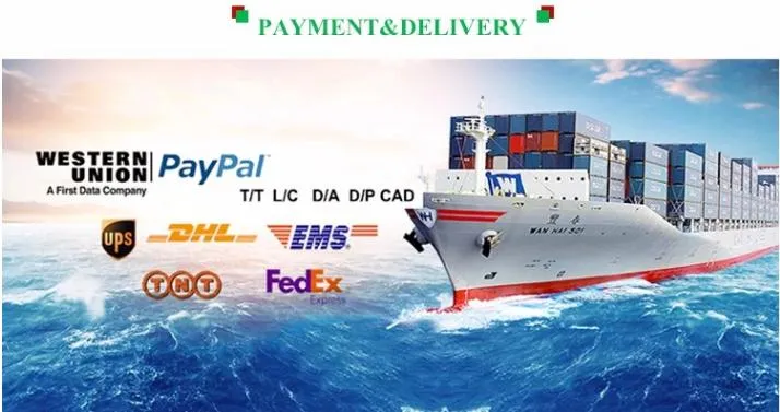 2021 Chinese Sweet Corn on COB in Vacuum Pack