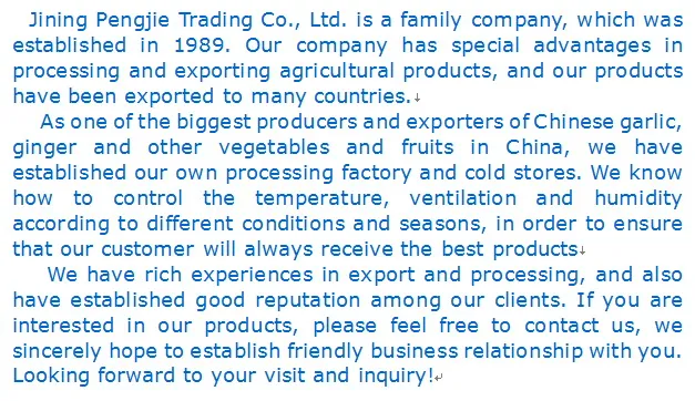 2021 Chinese Sweet Corn on COB in Vacuum Pack