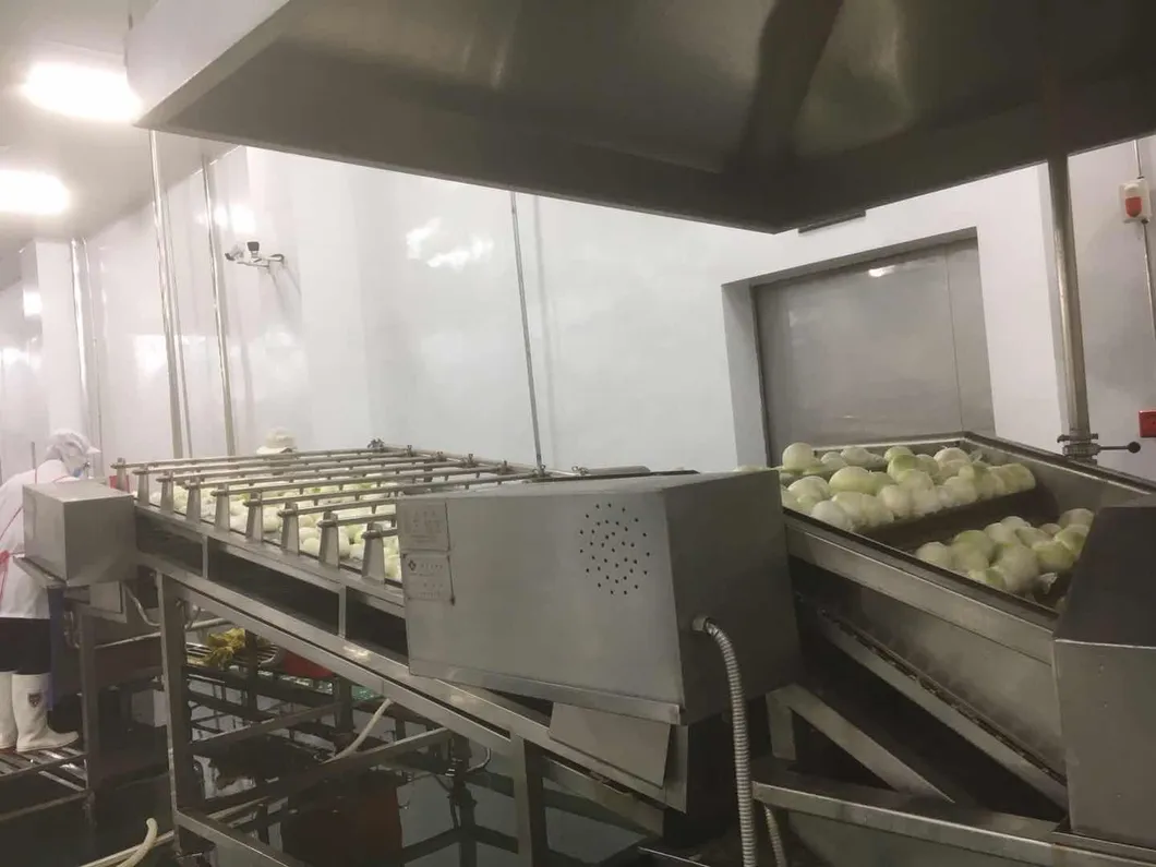 2021 New Crops Whole Sale IQF Frozen IQF Onion Slice Made in China