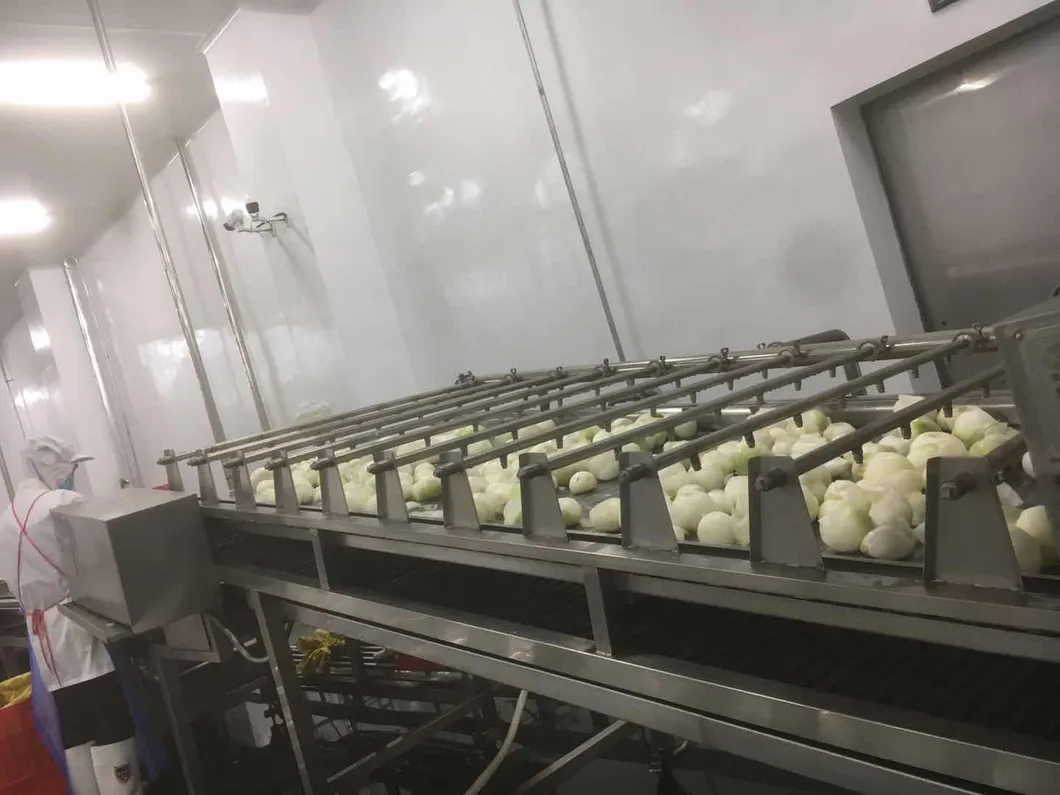 2021 New Crops Whole Sale IQF Frozen IQF Onion Slice Made in China