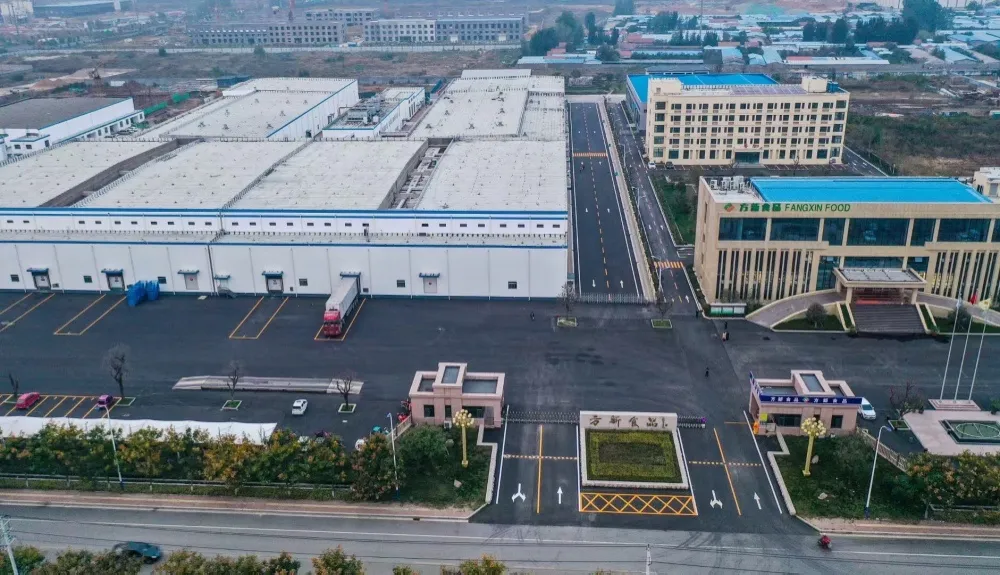 2021 New Crops Whole Sale IQF Frozen IQF Onion Slice Made in China