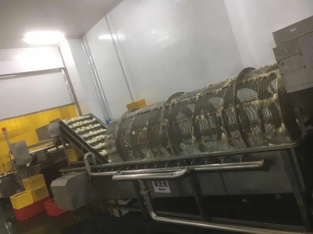 2021 New Crops Whole Sale IQF Frozen IQF Onion Slice Made in China