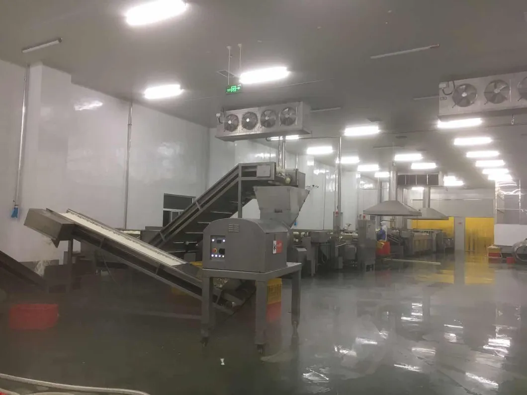 2021 New Crops Whole Sale IQF Frozen IQF Onion Slice Made in China