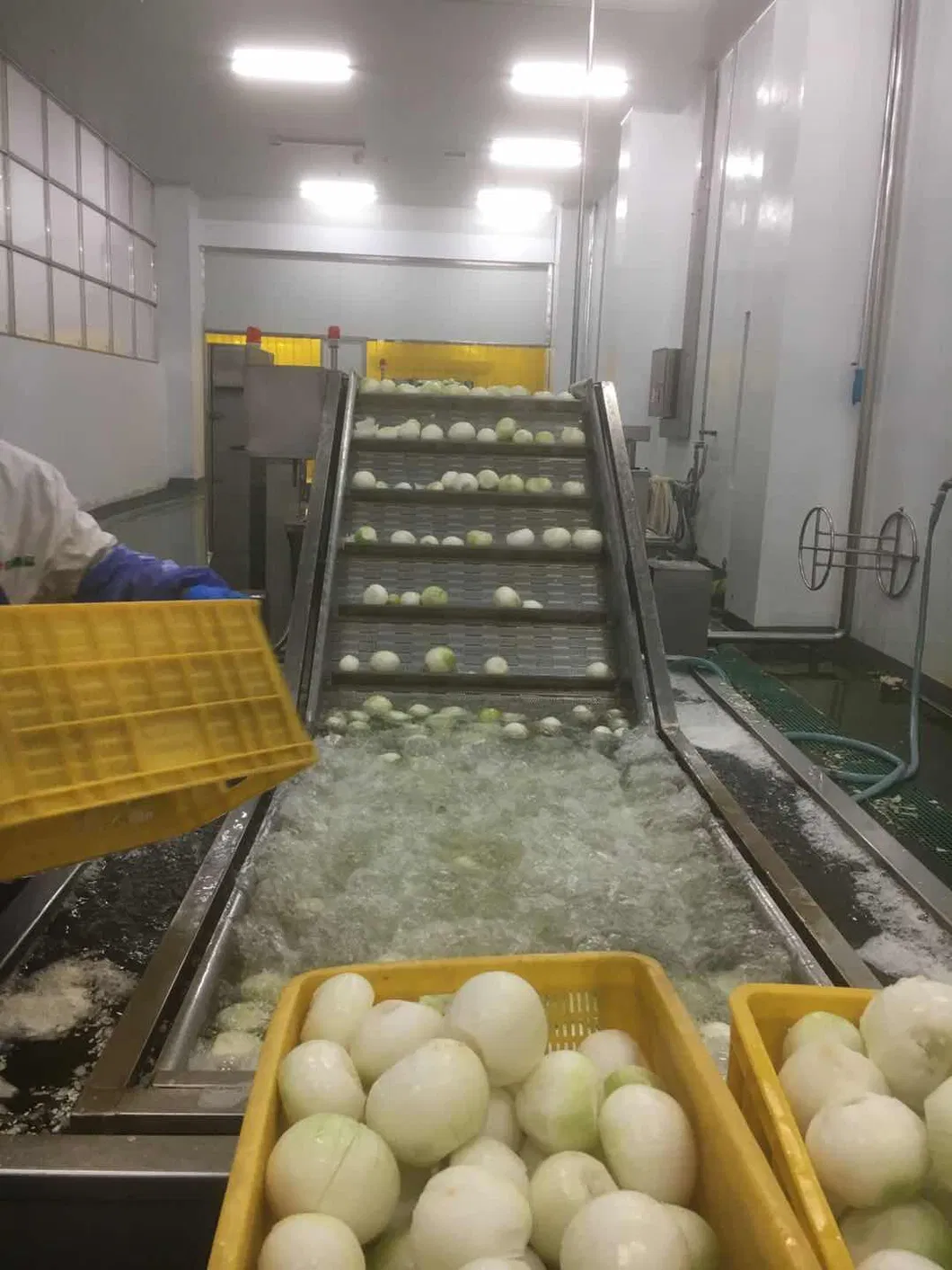 2021 New Crops Whole Sale IQF Frozen IQF Onion Slice Made in China