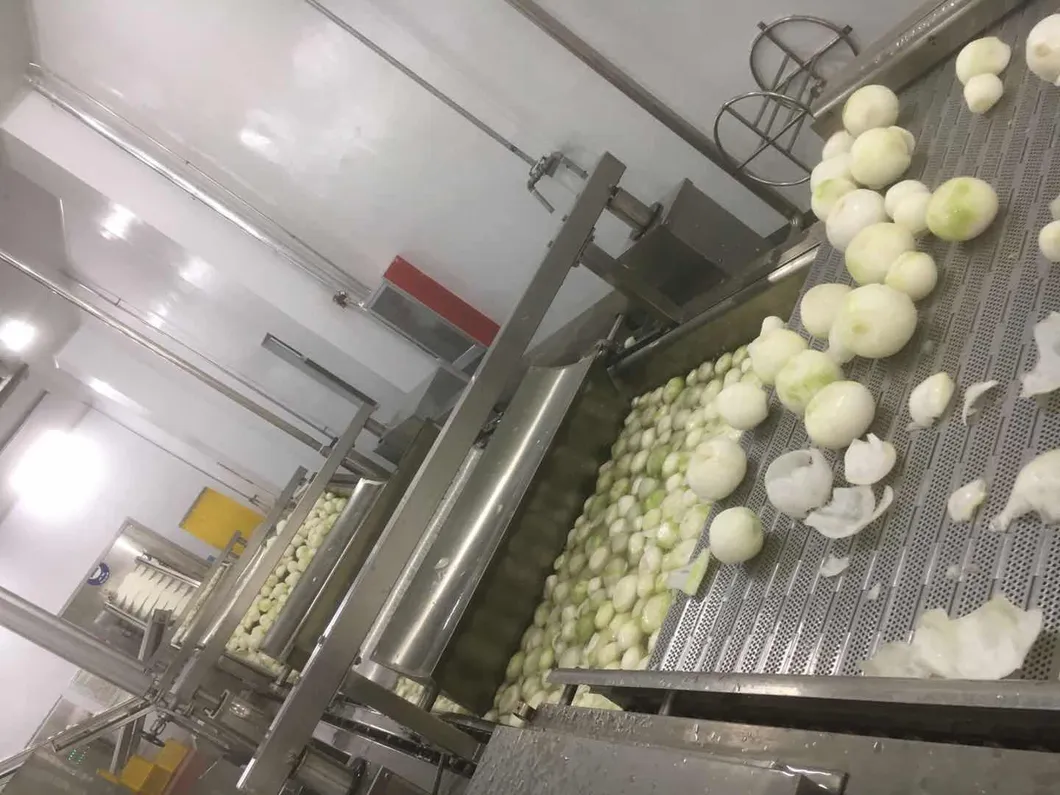 2021 New Crops Whole Sale IQF Frozen IQF Onion Slice Made in China