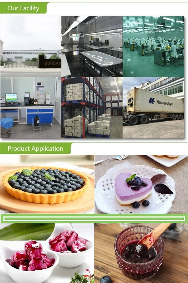 2021 Top Quality Frozen Blackberry with Good Price