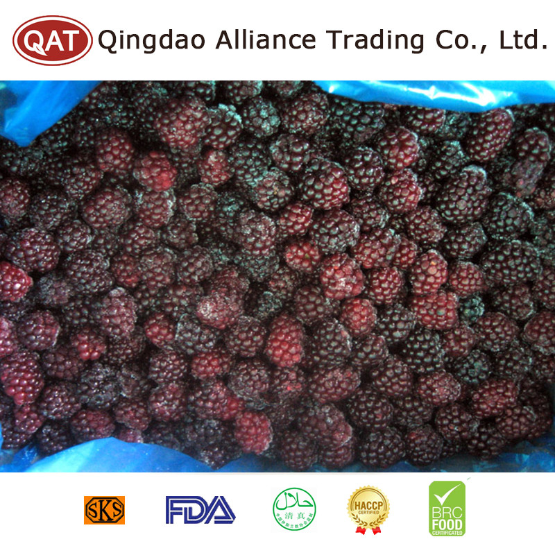 2021 Top Quality Frozen Blackberry with Good Price