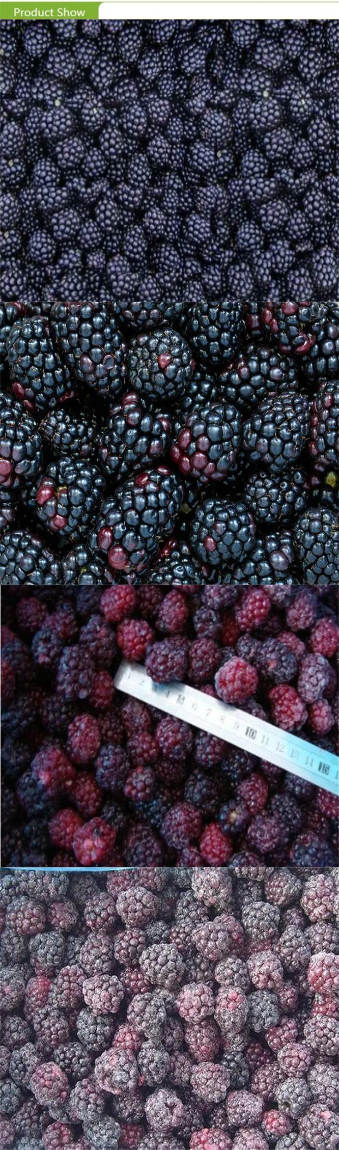 2021 Top Quality Frozen Blackberry with Good Price