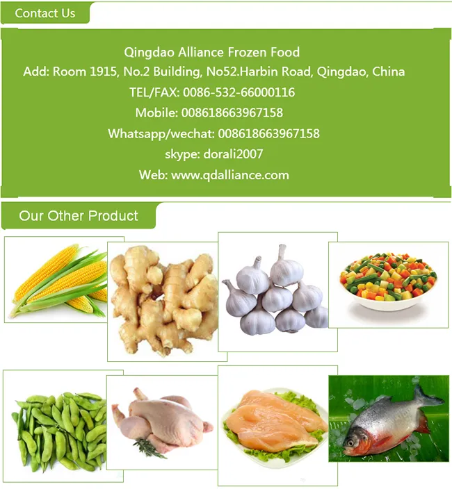 2021 Top Quality Frozen Blackberry with Good Price