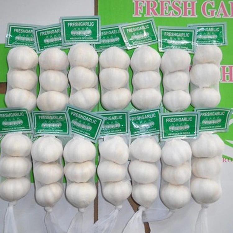 What Makes Export Grade Pure White Garlic the Preferred Choice for Global Food Markets?