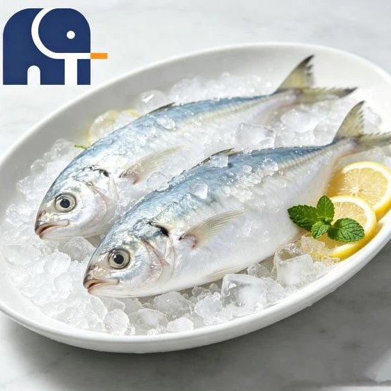 How Can Indian Mackerel Fishing Vessels Improve Fishing Efficiency?
