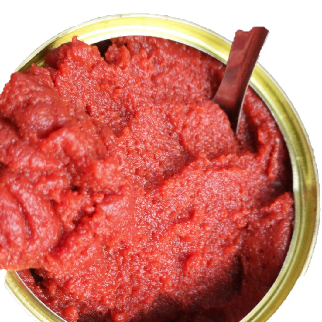 28-30% Brix Tomato Paste
