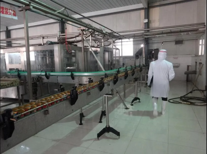 28-30% Brix Tomato Paste
