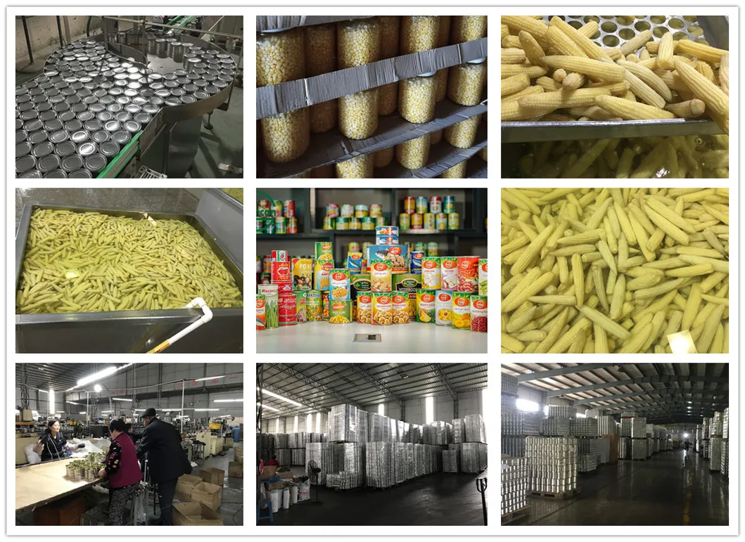 2840g Canned Kernel Corn with Private Label