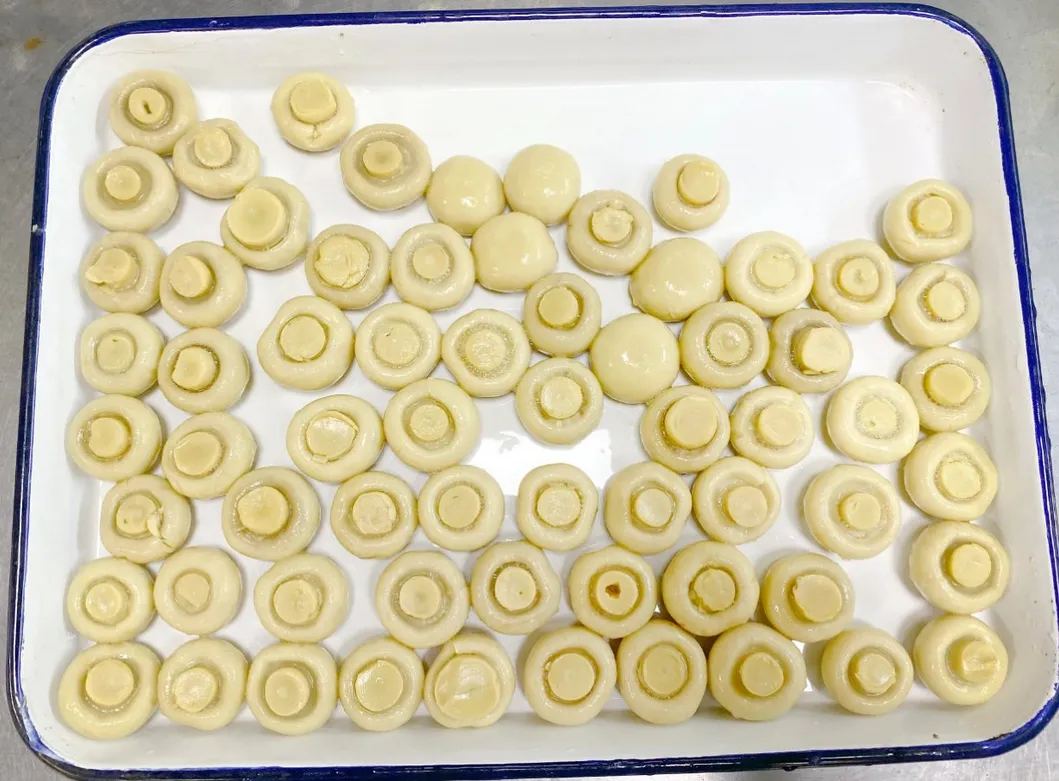 2840g Fresh Mushroom New Season Canned Food Canned Mushroom for Sale OEM