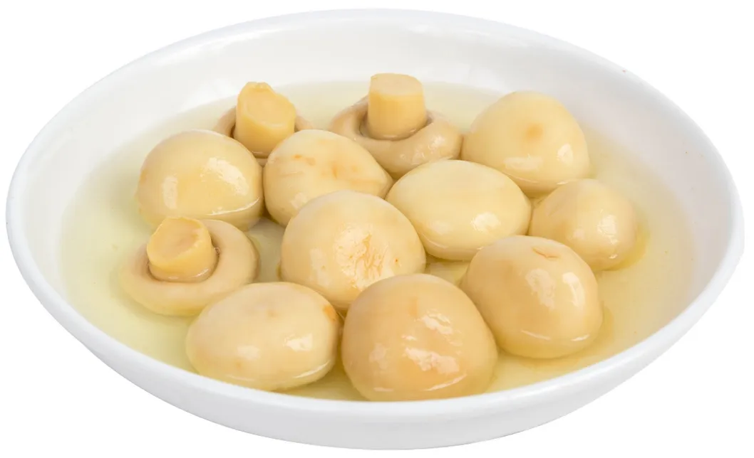 2840g Fresh Mushroom New Season Canned Food Canned Mushroom for Sale OEM