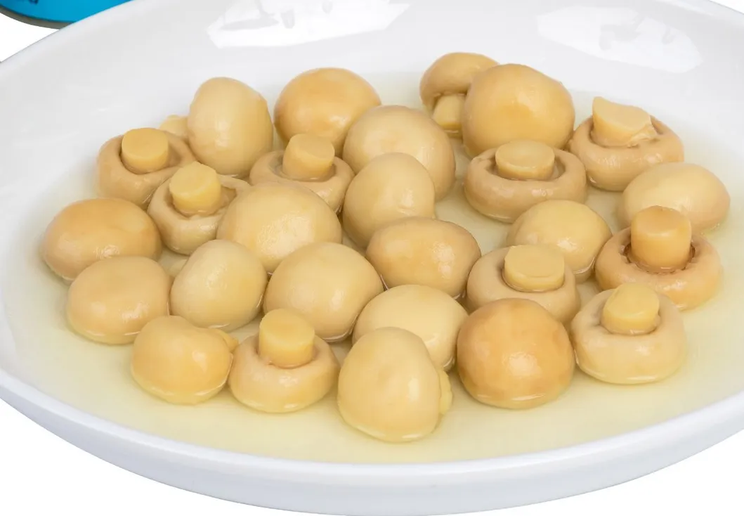 2840g Fresh Mushroom New Season Canned Food Canned Mushroom for Sale OEM