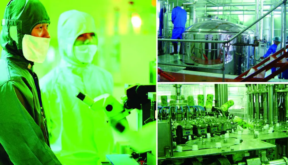 300ml Pet Tin Guarana Energy Drink