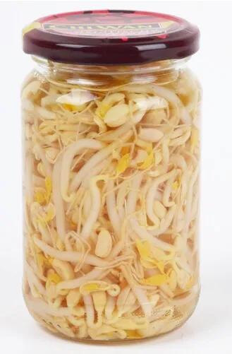 314ml Canned Bean Sprout with Low Price