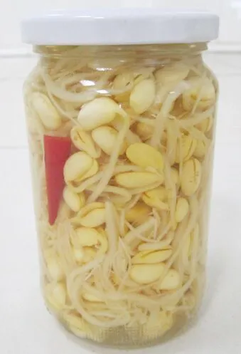 314ml Canned Bean Sprout with Low Price