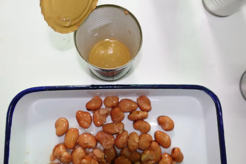 397g Canned Fava Bean /Broad Bean/ Foul Medames in Eol