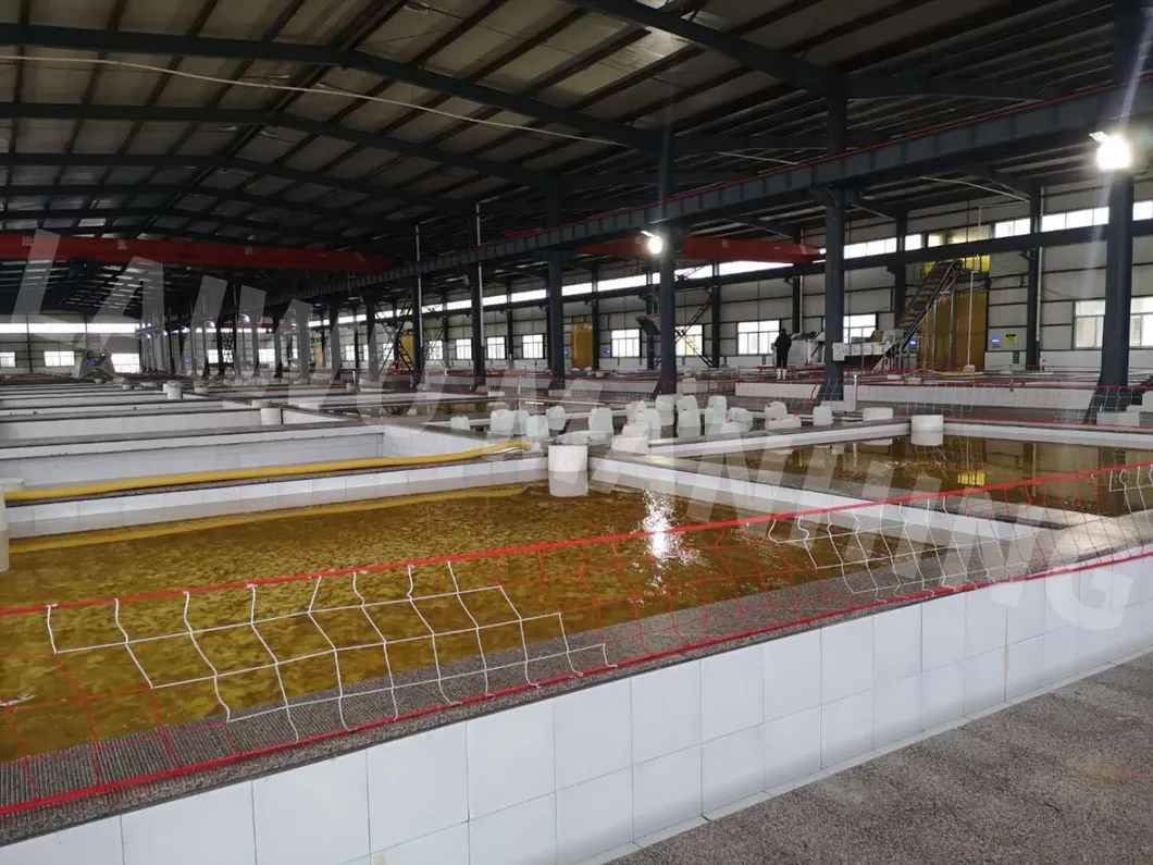 454G Plastic Bottle Sushi Marinated Ginger