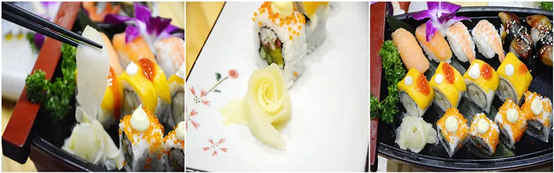 454G Plastic Bottle Sushi Marinated Ginger Pink