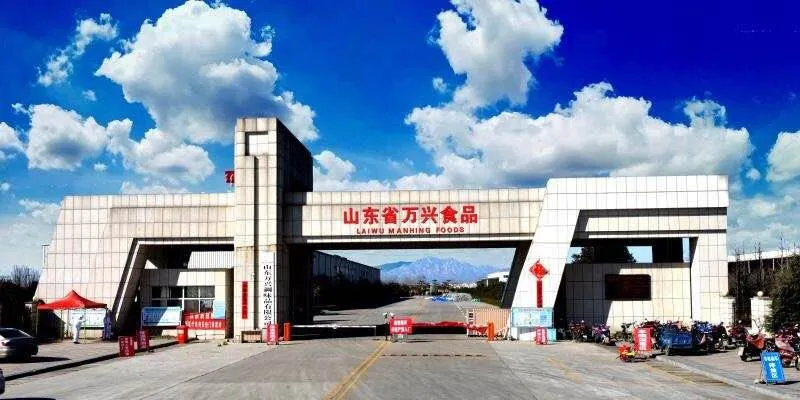 454G Plastic Bottle Sushi Marinated Ginger White