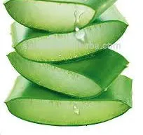 500ml Bottle Aloe Vera with Noni