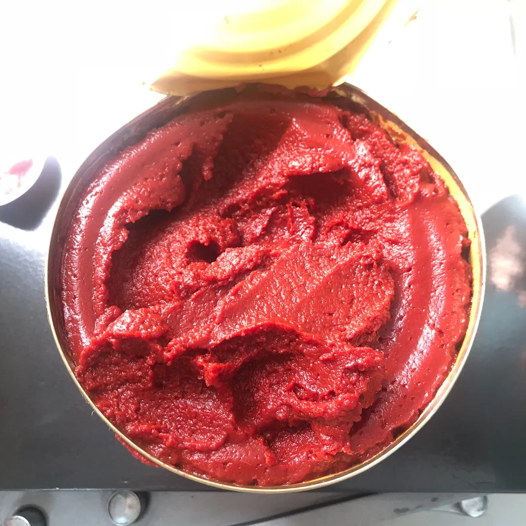 70g Tomato Paste Cheap Tomato Paste Iran Tomato Paste