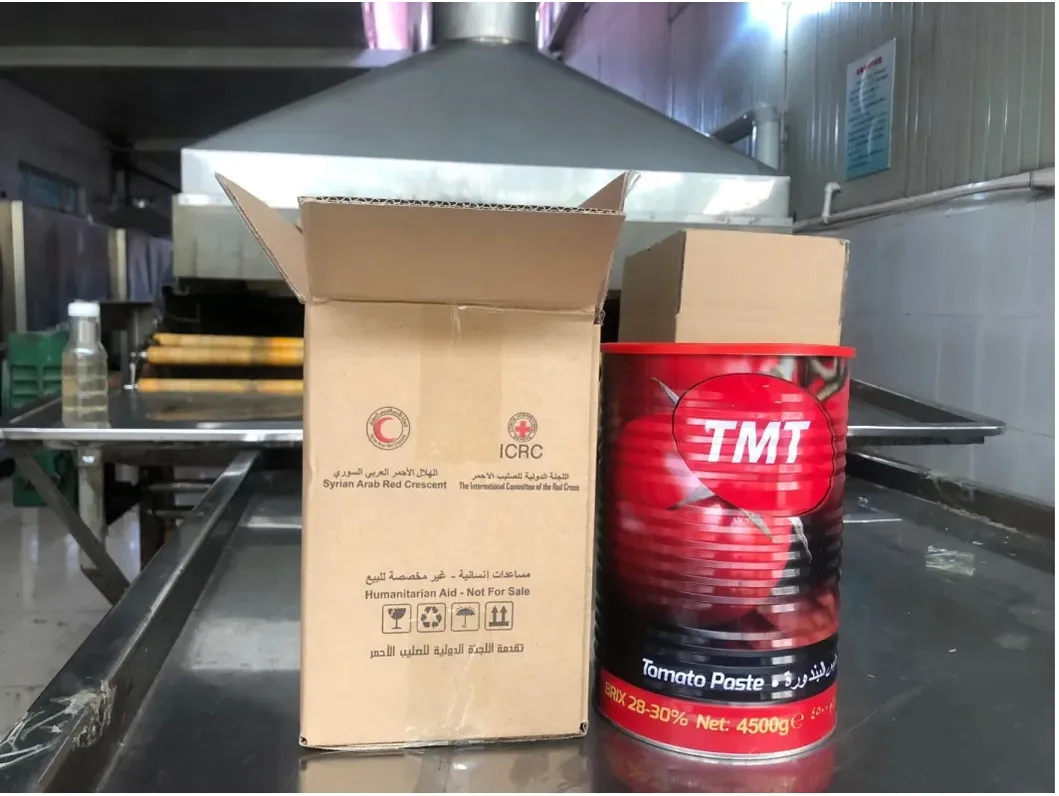 70g Tomato Paste Cheap Tomato Paste Iran Tomato Paste