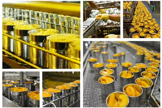 820g Canned Yellow Peach Eol in Syrup