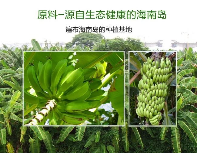 Banana Fruit Powder Banana Powder Flavour