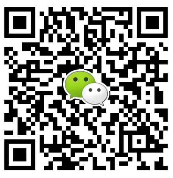 Barramundi Frozen Sea Bass Fish