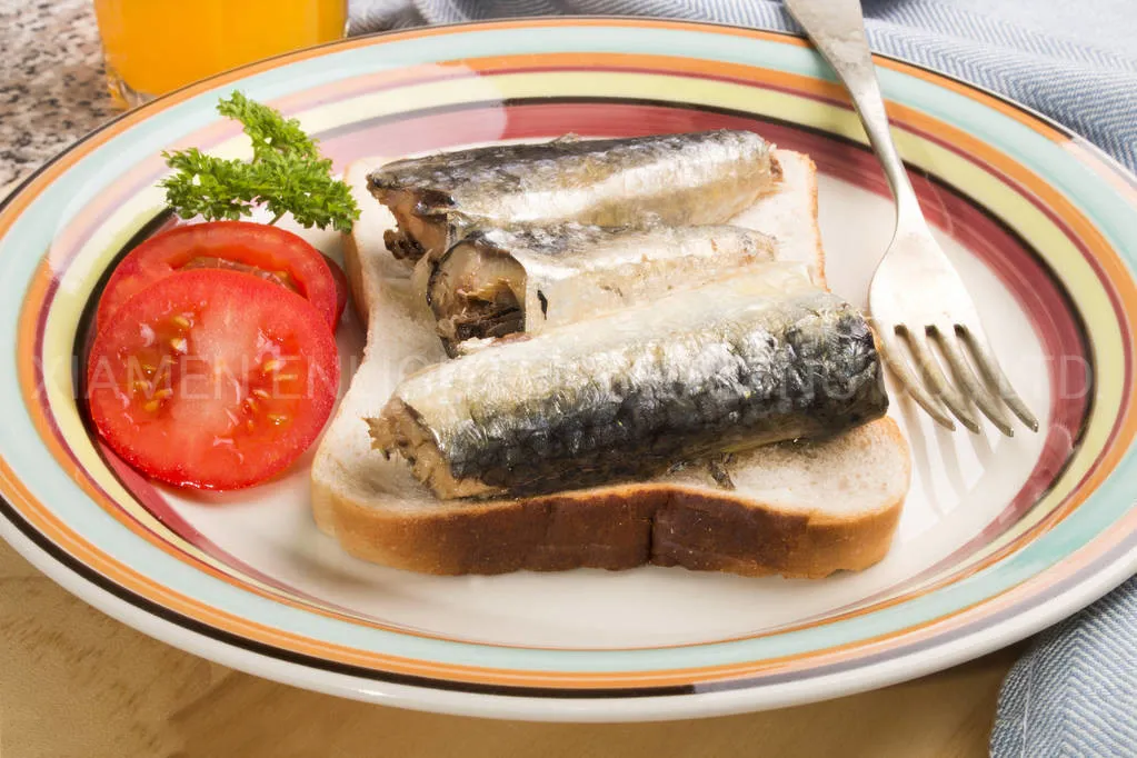 Best Canned Sardine Recipes in Natural Oil