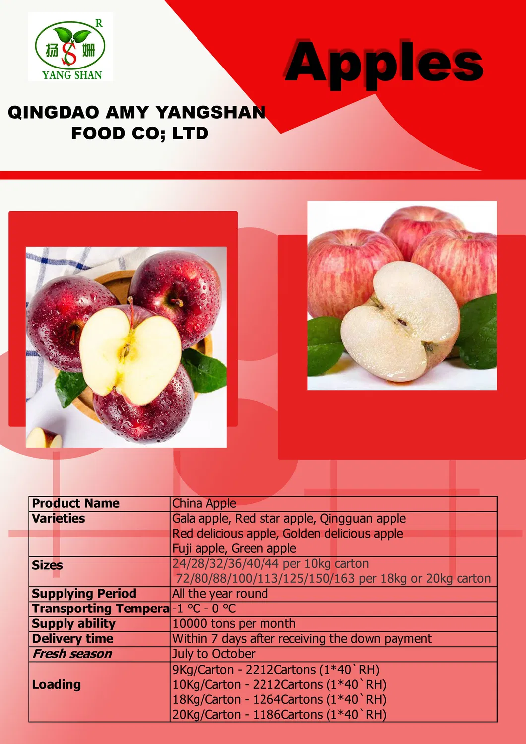 Best Fresh Quality Made From Factory Canned Sardine in 125g