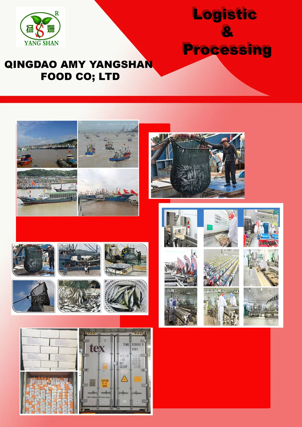 Best Fresh Quality Made From Factory Canned Sardine in 125g