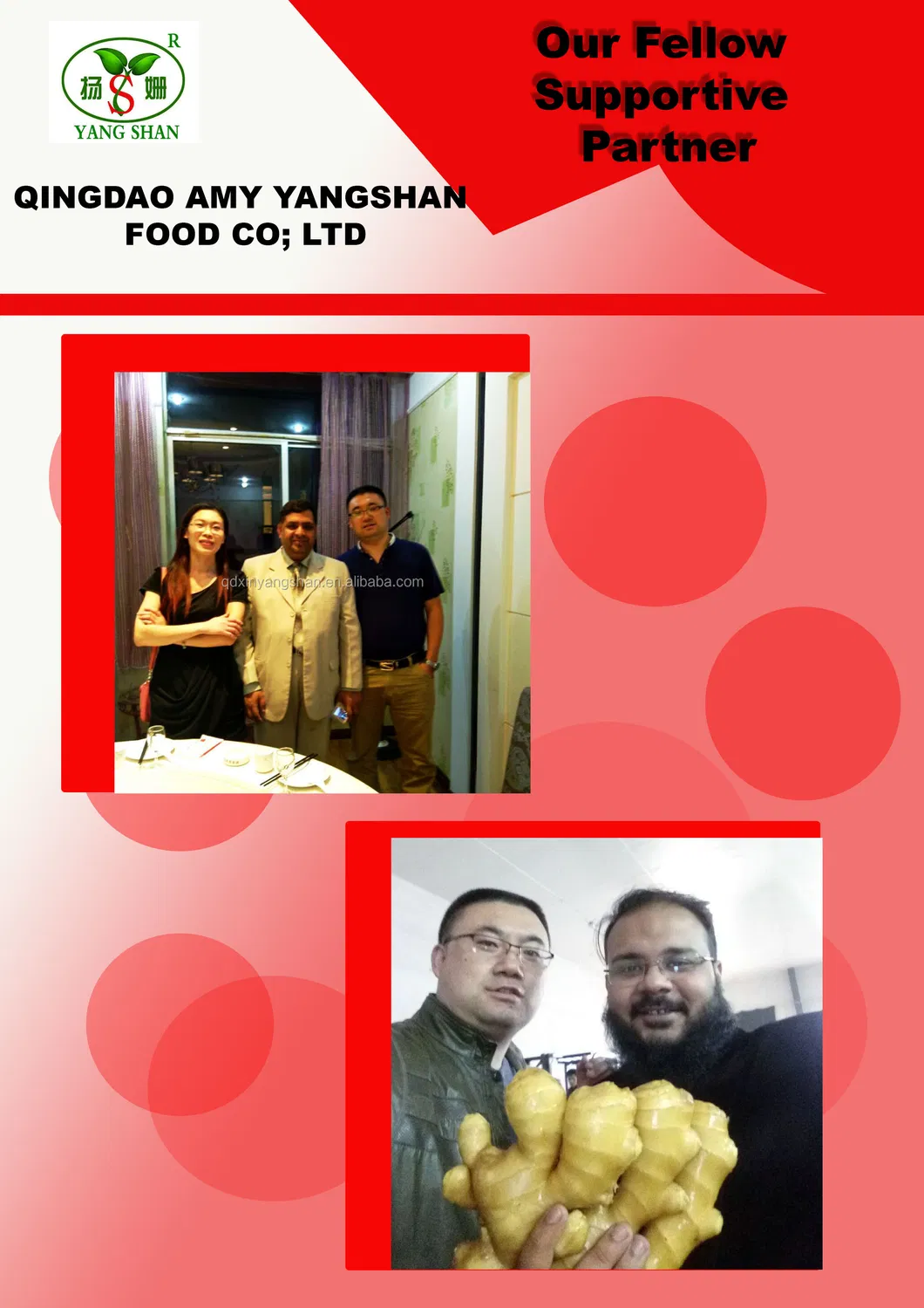 Best Fresh Quality Made From Factory Canned Sardine in 125g