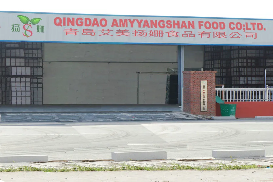 Best Fresh Quality Made From Factory Canned Sardine in 125g