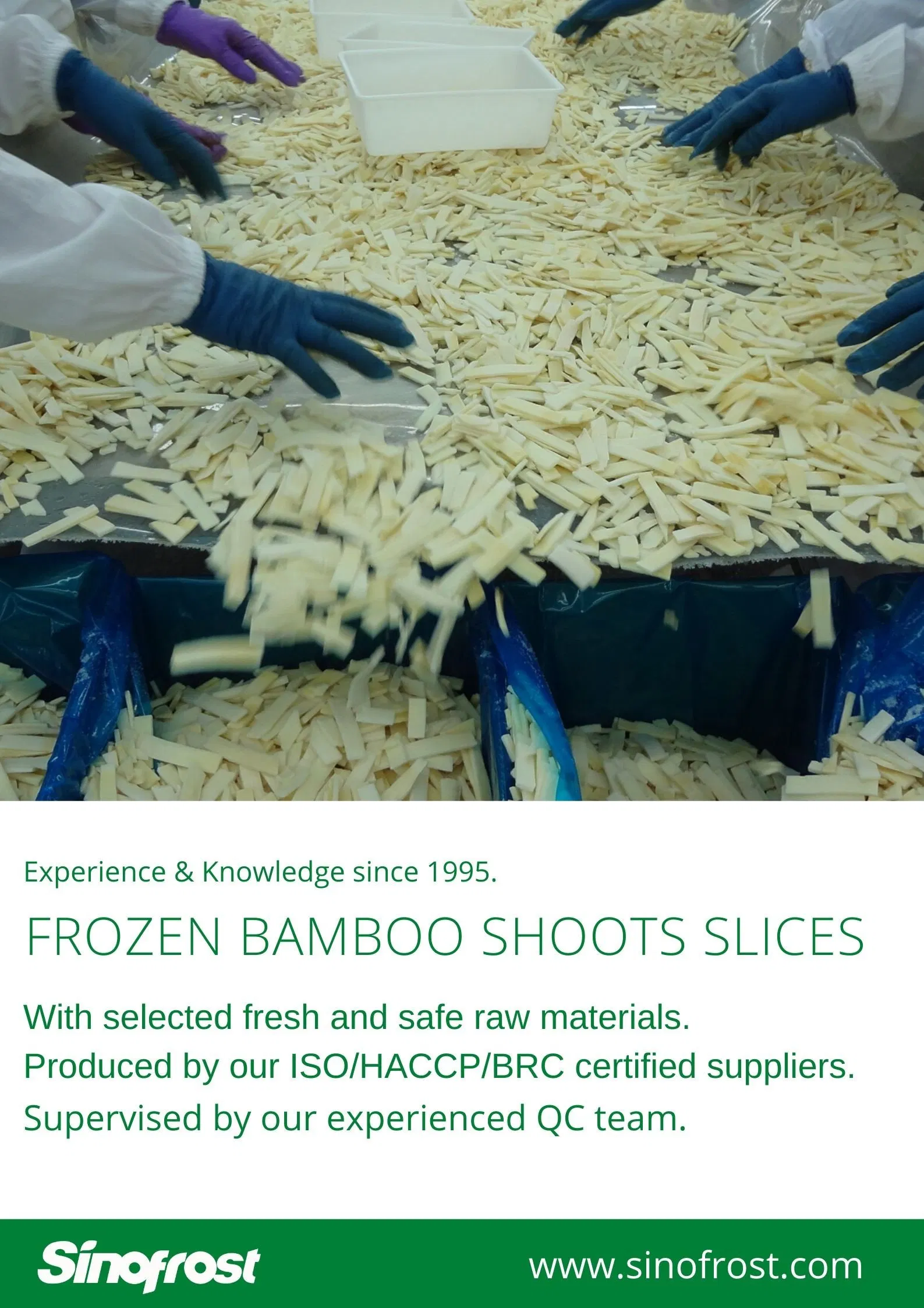 Best Prices, IQF Bamboo Shoots Slices, Frozen Bamboo Shoot Slices, Frozen Bamboo Shoots Slices, IQF Bamboo Shoot Slices, ISO/HACCP/Brc/Kosher/Halal