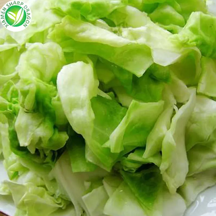 Best Quality Big Size Organic Premium Fresh Frozen Round Cabbage Cheap Price From China Wholesaler