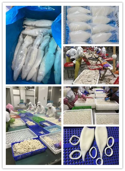 Best-Selling Cheap Price Frozen Squid Ring Wholesale
