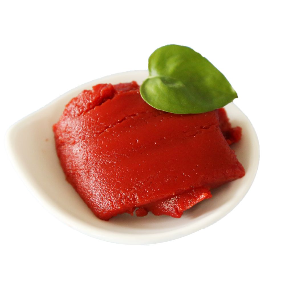 Canned 70g Tomato Paste for Africa Market