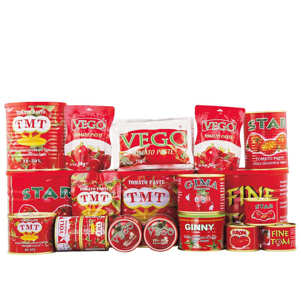 Canned 70g Tomato Paste for Africa Market